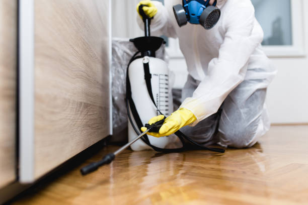 Wasp Removal Services in Wayne, OH