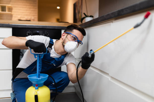 Best Flea Control Services  in Wayne, OH