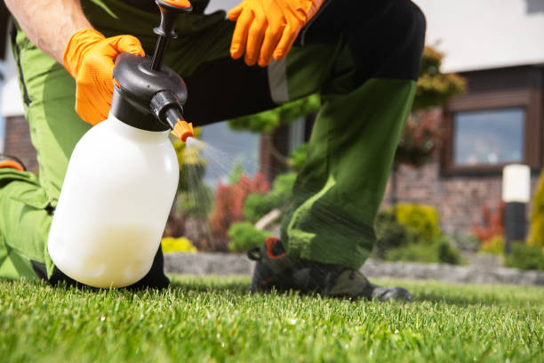Trusted Wayne, OH Pest Control Experts
