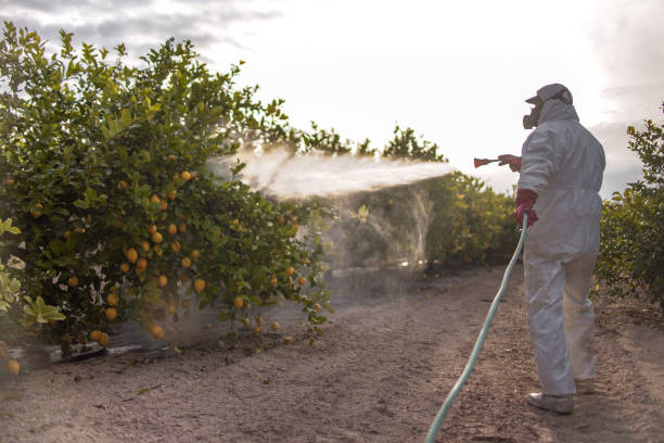 Best Mosquito Control Services  in Wayne, OH