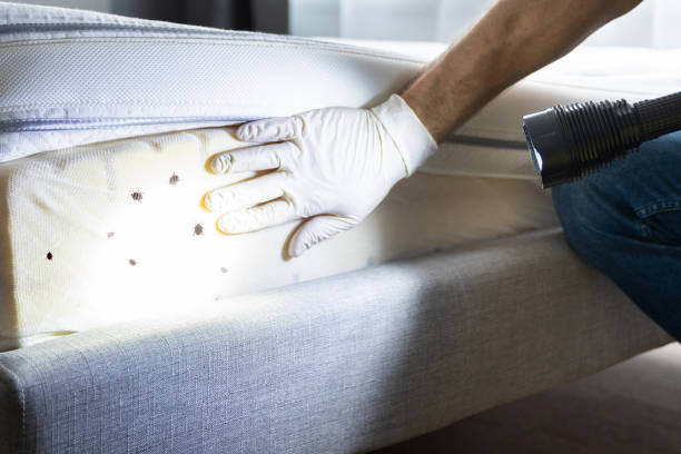 Best Cockroach Control Services  in Wayne, OH