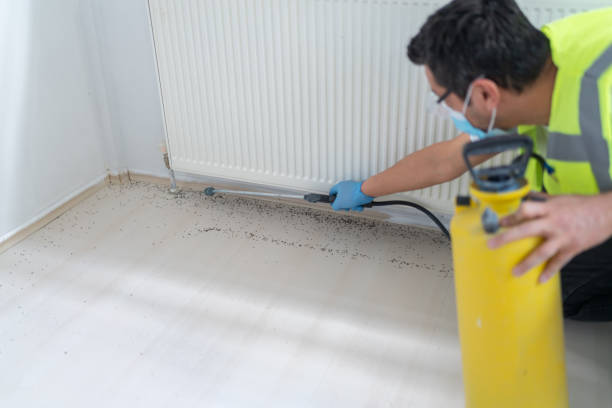 Best Pest Prevention Services  in Wayne, OH