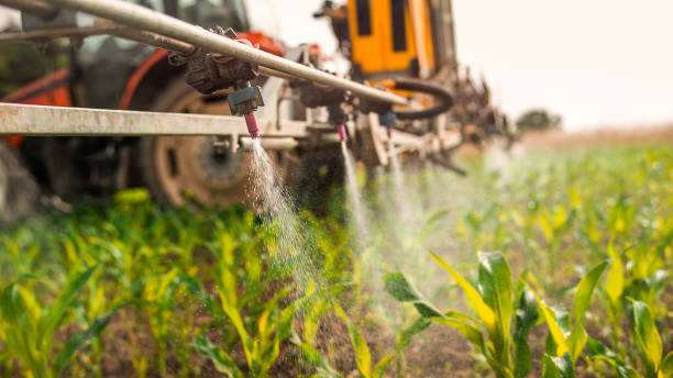 Best Ant Control Services  in Wayne, OH